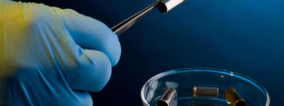 How do I become … a forensic scientist