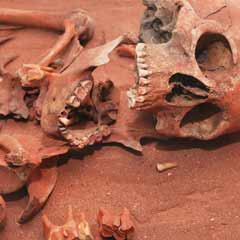 https://www.forensicscolleges.com/wp-content/uploads/2015/04/skeleton-remains-240x240.jpg
