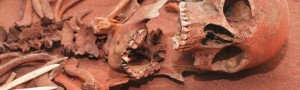 skeleton remains from archaelogic dig